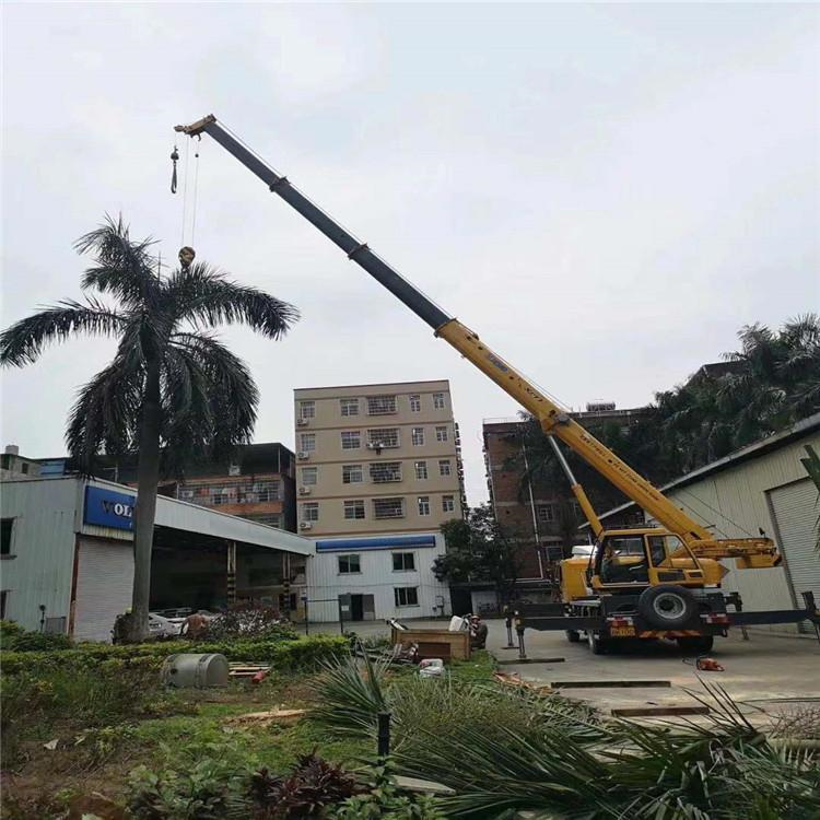 大成镇汽车吊出租多少钱？全面解析与市场行情